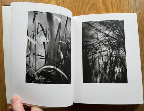 Die Antwort des BIldes - Setanta Books