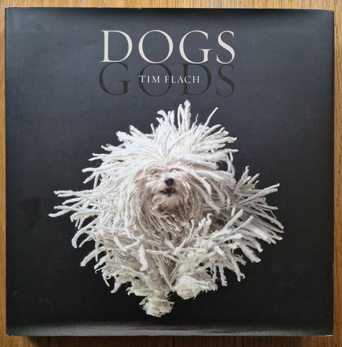 Dogs / Gods - Setanta Books