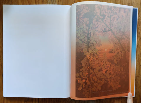 Dreamer - Setanta Books
