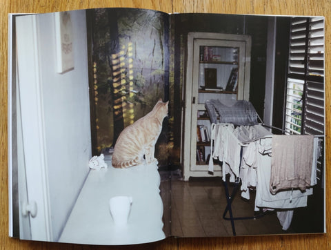 Dust & Scratches - Setanta Books