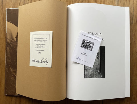 Dylan in Woodstock - Setanta Books