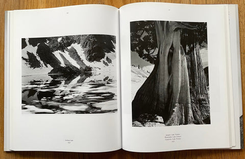 Edward Weston - Setanta Books