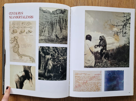 El libro de las maravillas - Setanta Books