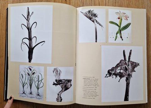 El libro de las maravillas - Setanta Books