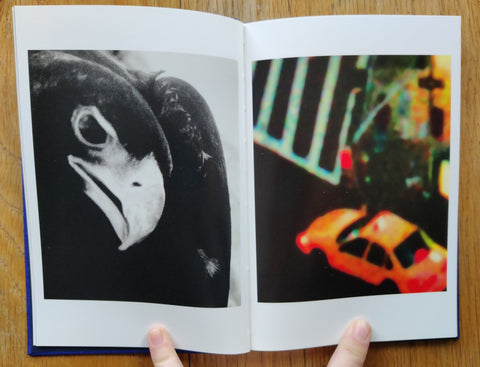 Emotion in Action - Setanta Books