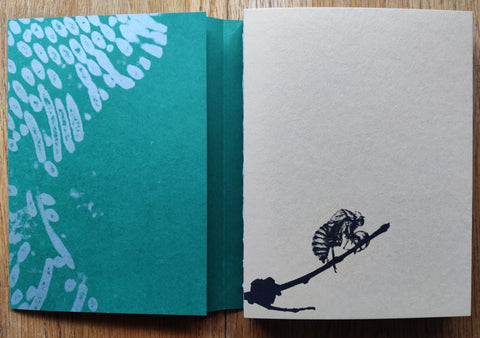 Fastidiosa - Setanta Books