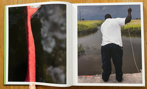 FloodZone - Setanta Books