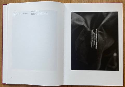 From Where Loss Comes - Setanta Books