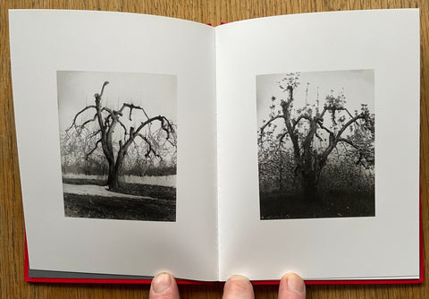 Fruitless (One Picture Book) - Setanta Books