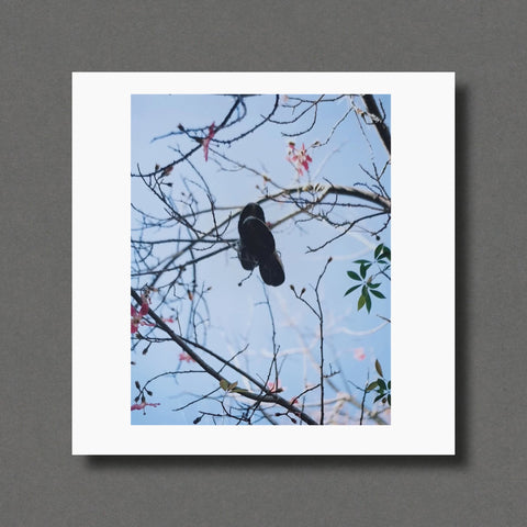 Gregory Halpern Magnum Square Prints - Setanta Books
