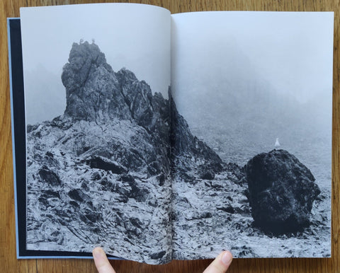 Gull Juju - Setanta Books