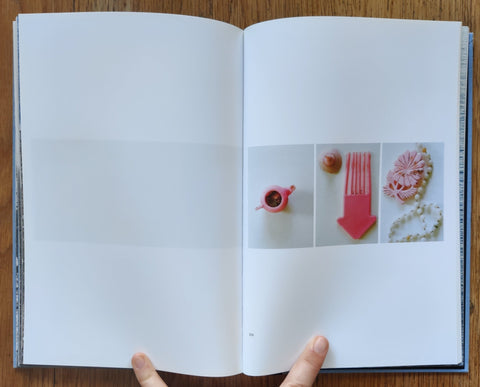 Gull Juju - Setanta Books