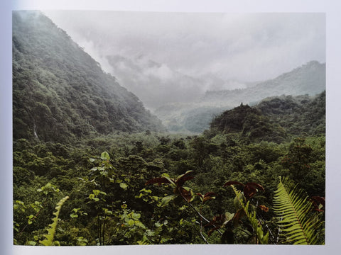 Guy Tillim: Second Nature