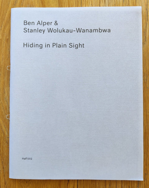 Hiding in Plain Sight - Setanta Books