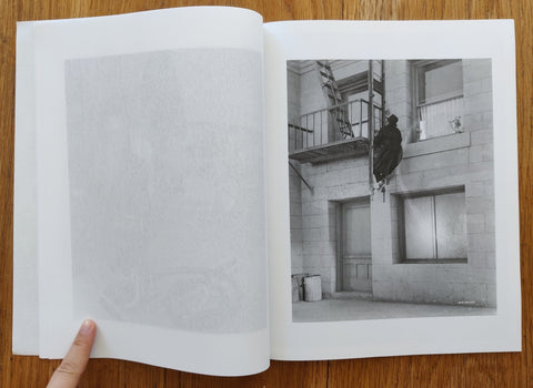 Hiding in Plain Sight - Setanta Books