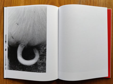 Kill The Pig - Setanta Books