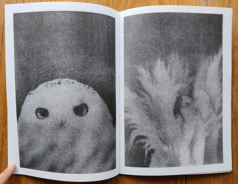 Kolokol (L’Atelier RisoGraphique 8) - Setanta Books