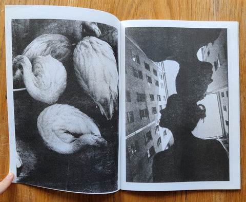 Kolokol (L’Atelier RisoGraphique 8) - Setanta Books