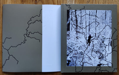 Laurel Mountain Laurel - Setanta Books