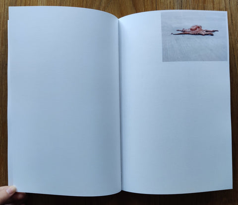 Les rochers fauves - Setanta Books