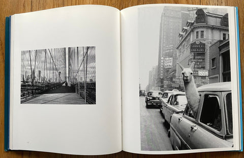 Life as a Photographer - Setanta Books