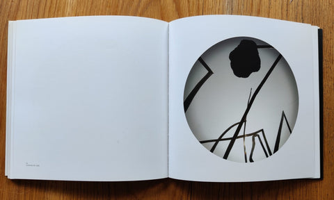Looking On - Setanta Books