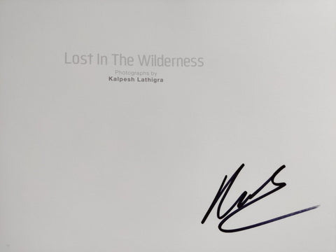 Lost in the Wilderness