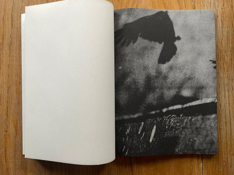 Metaphors - Setanta Books