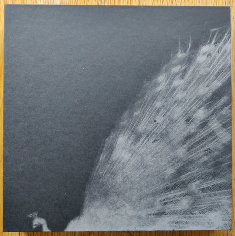The photography book cover of And, Do You Still Hear The Peacocks? by Miho Kajioka. In hardcover black