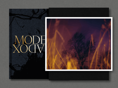 Modern Paradox - Special Edition (4 Print Options) - Setanta Books