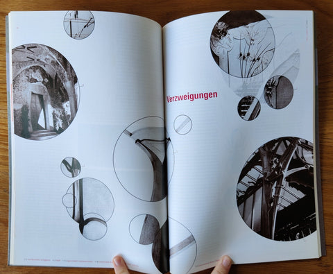 Morphologie/ Neobiologie - Morphology / Neobiology - Setanta Books