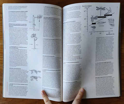 Morphologie/ Neobiologie - Morphology / Neobiology - Setanta Books