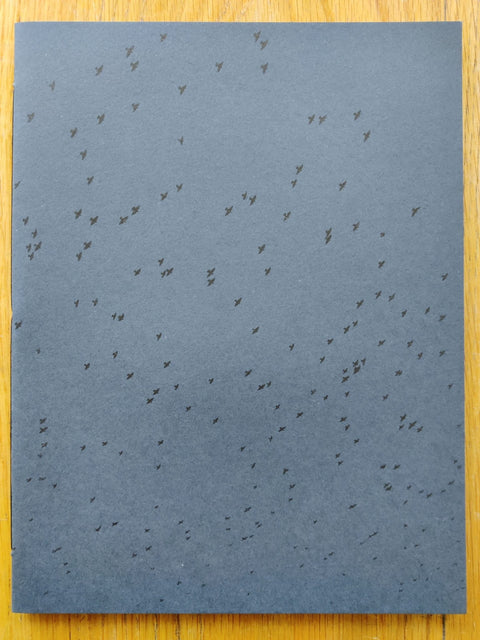 Murmurations - Setanta Books