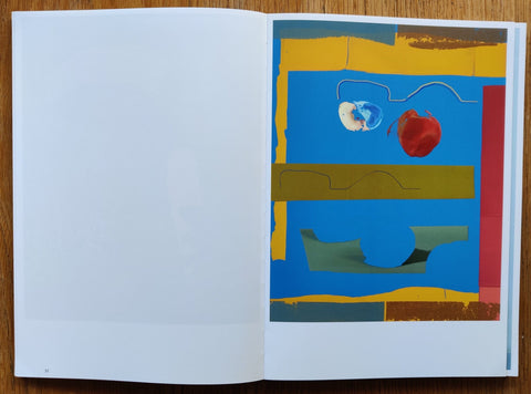 New Canvas - Setanta Books