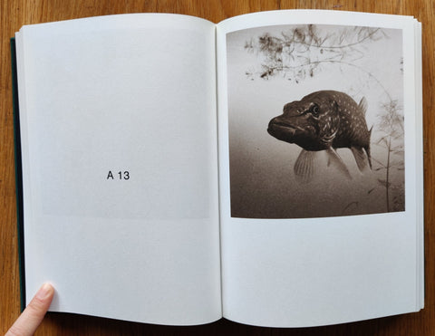 Nude Animal Cigar - Setanta Books