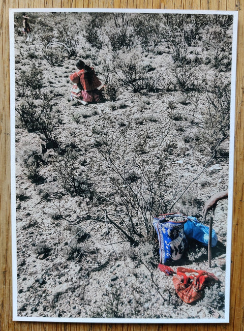 One Picture Book Set: Bent Tree, Ça Va Aller, Black Sun, Peyote - Setanta Books