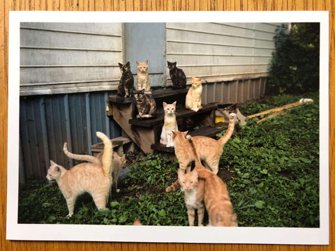 One Picture Book Set: Cats, Requiem, Gas Stations 1982 & 1986, Darshan