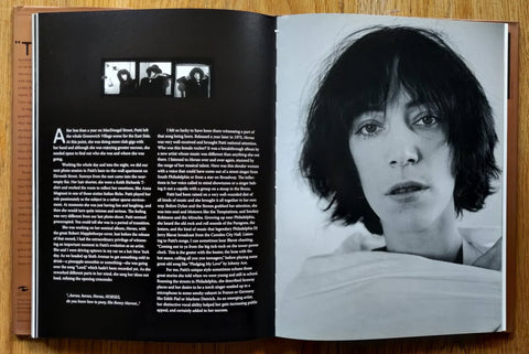 Patti Smith: American Artist - Setanta Books