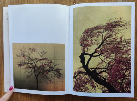 Photographic Syntax - Setanta Books