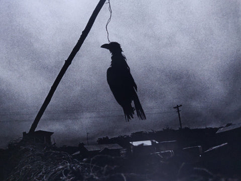 Photographs 1958-2008