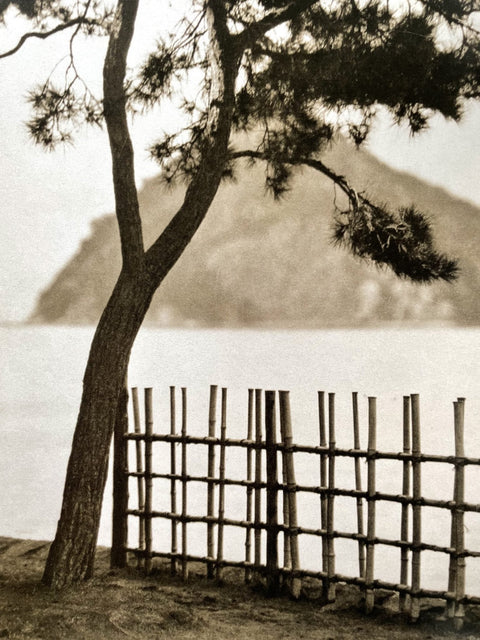 Photographs by Ginza modern Boys 1913-1941 - Setanta Books