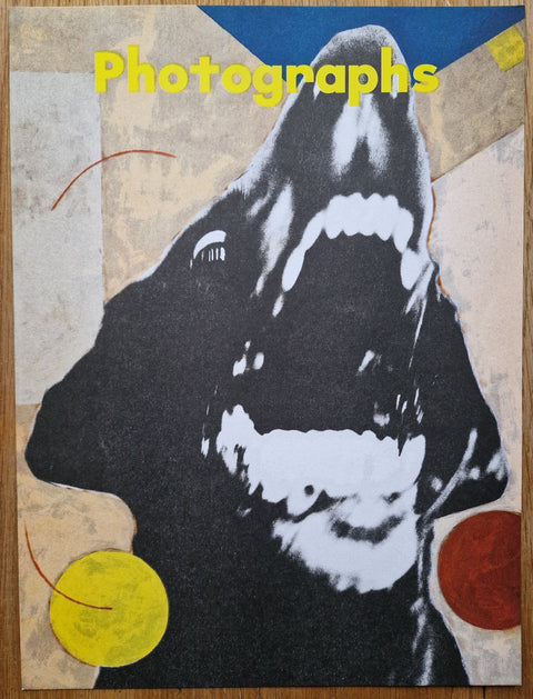 Photographs (Riso print 1) - Setanta Books