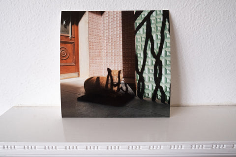 The photography print of Untitled by Piero Percoco. Signed and numbered on verso.