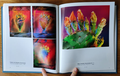 Pintando Con Luz - Setanta Books