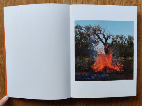 Puglia Cruda - Setanta Books