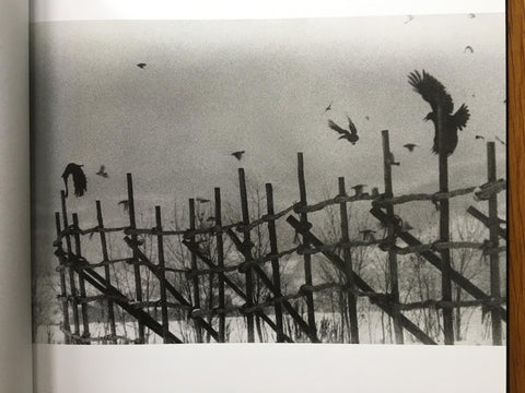 Solitude of Ravens
