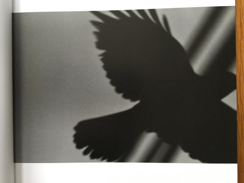 Solitude of Ravens