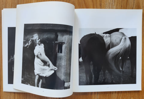 Ralph Eugene Meatyard - Setanta Books
