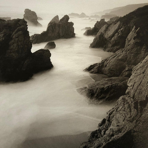 Reverence (Special Edition) with Print 2