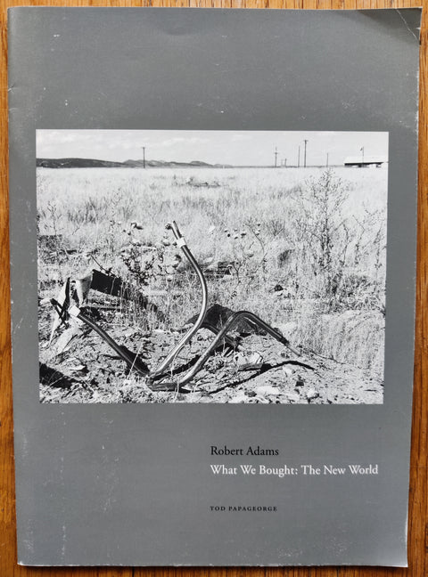 What We Bought: The New World